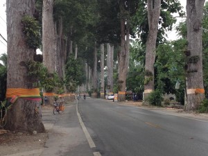 ถนนสายเชียงใหม่ลำพูน2